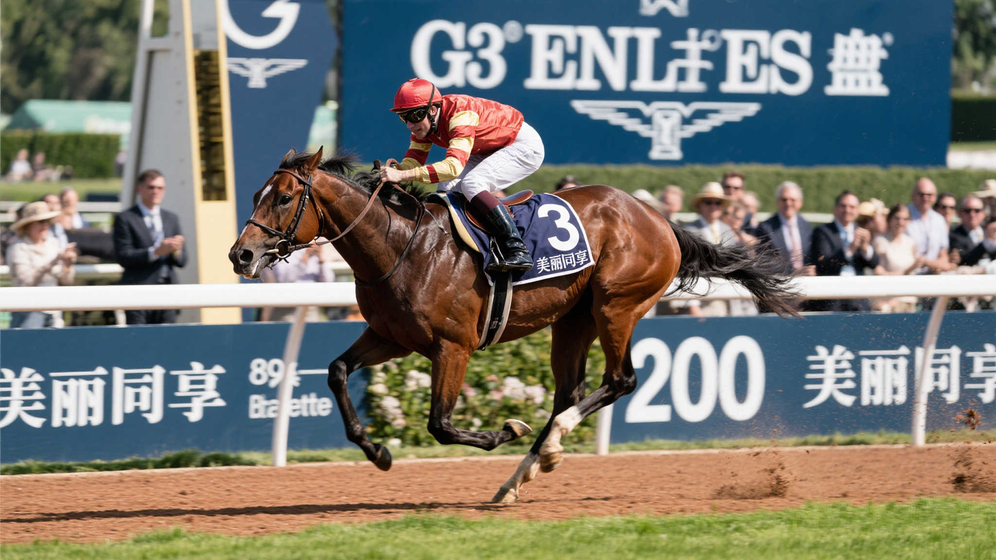 在万众瞩目的G3精英碟赛事中，一匹名为"美丽同享"